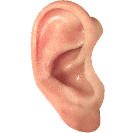 ear-graphic.png