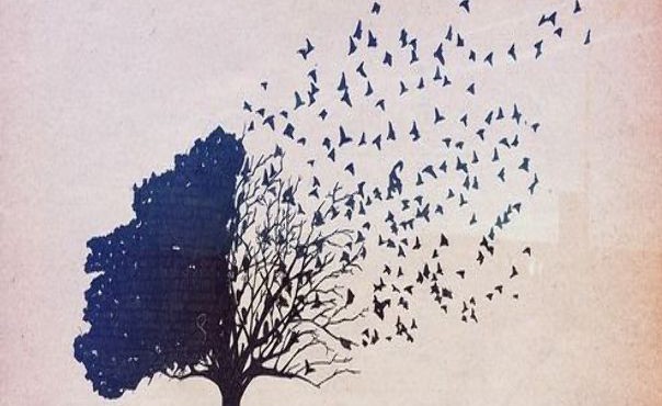 life-dreams-hipsters-tree-birds-Quotes
